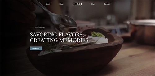 Opso Project Image